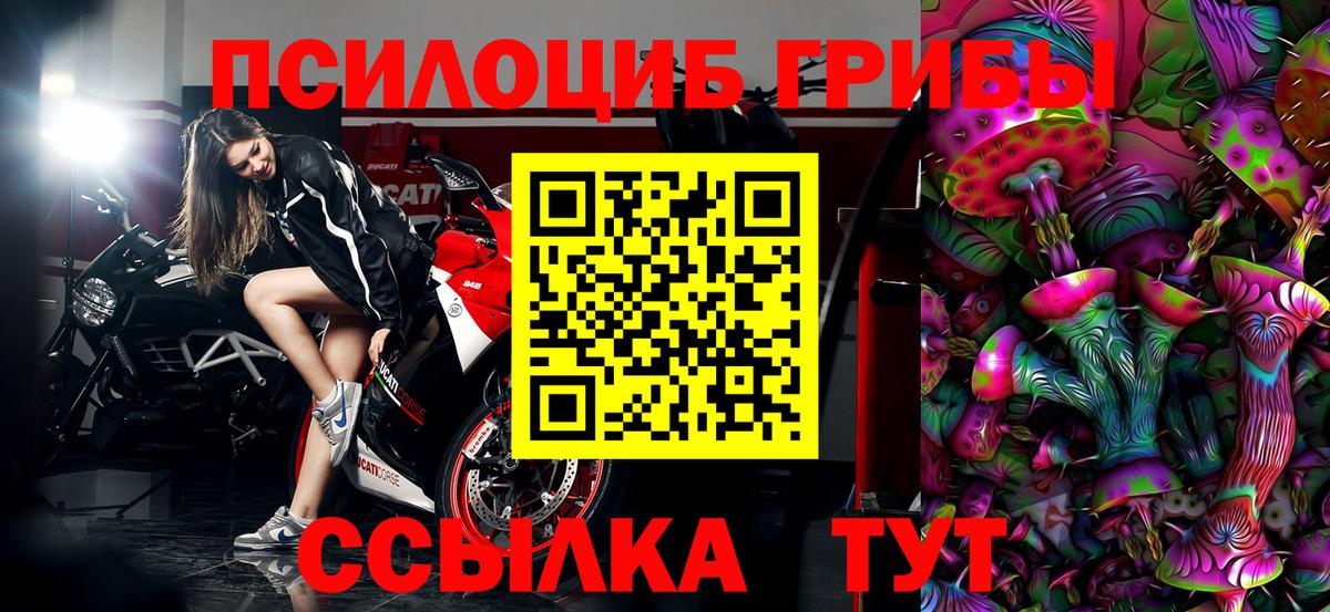 Псилоцибиновые грибы ЛСД Котовск